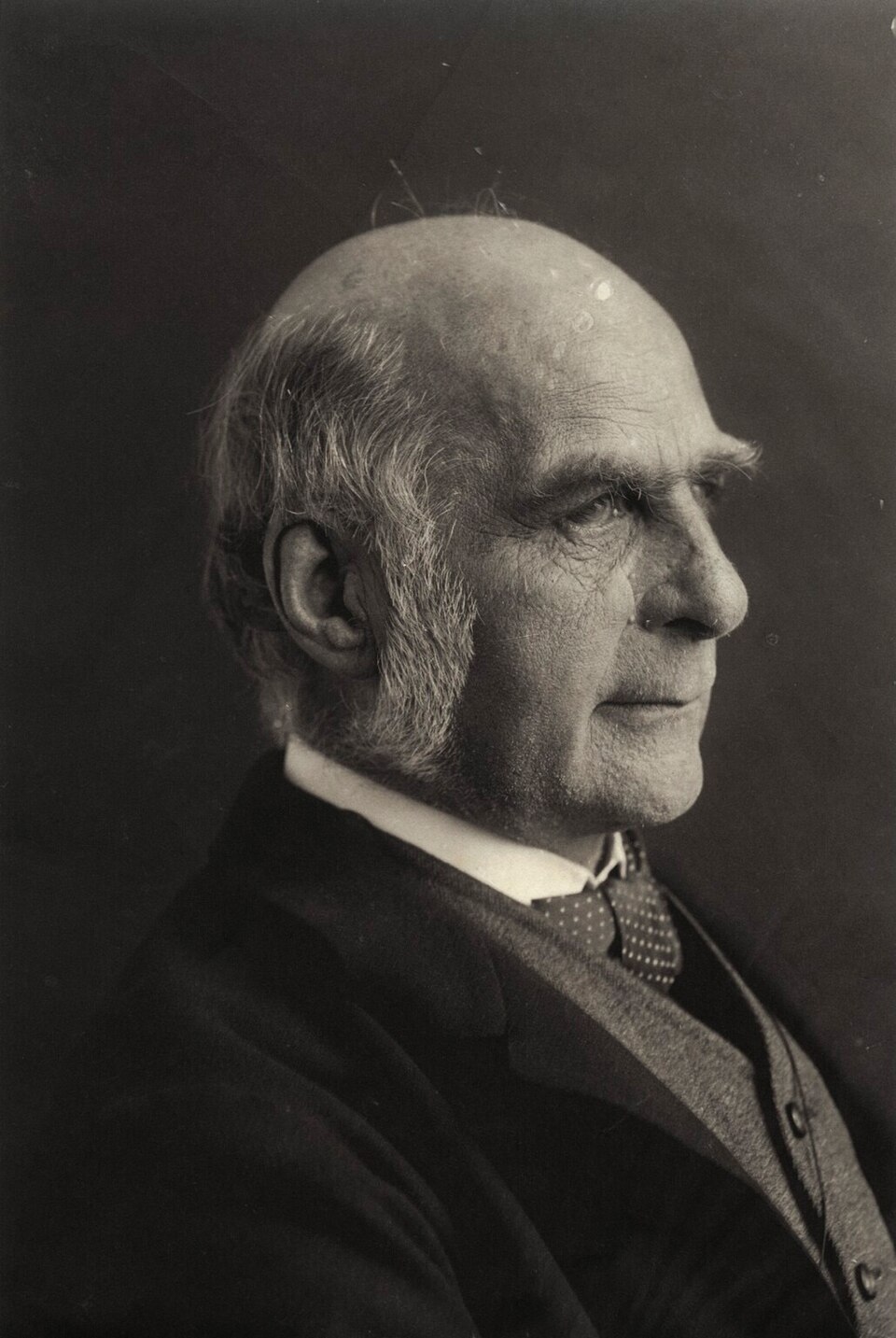 Porträt von Francis Galton